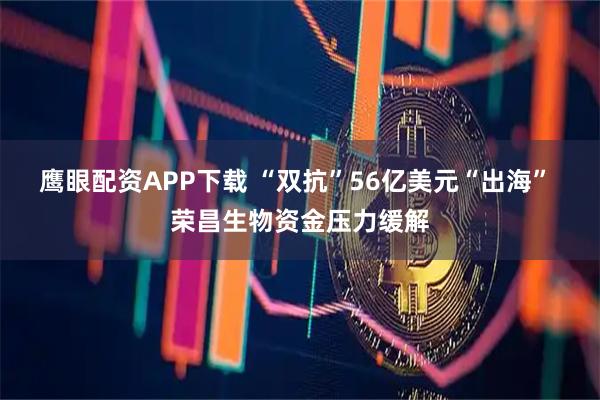 鹰眼配资APP下载 “双抗”56亿美元“出海” 荣昌生物资金压力缓解